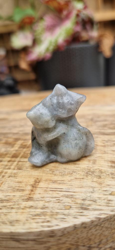Labradoriet knuffel katjes