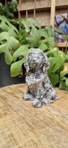 Chinese  yooperlite hond