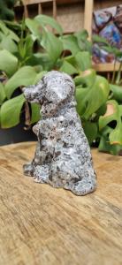 Chinese  yooperlite hond