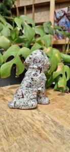 Chinese  yooperlite hond
