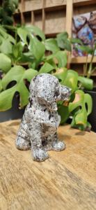 Chinese  yooperlite hond