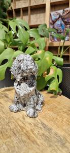 Chinese  yooperlite hond