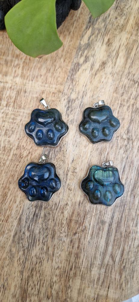 Labradoriet hanger pootje