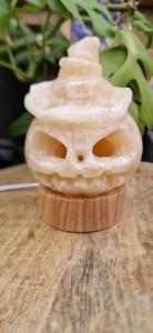 Oranje calciet pompoen