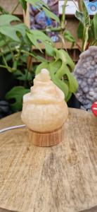 Oranje calciet pompoen