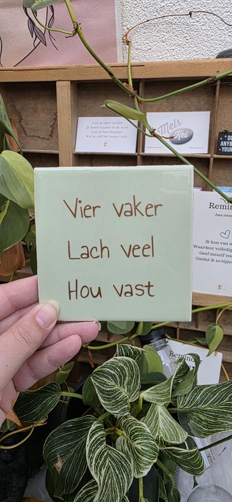 {){$product->name}}