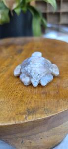 Bloemagaat schildpad 1