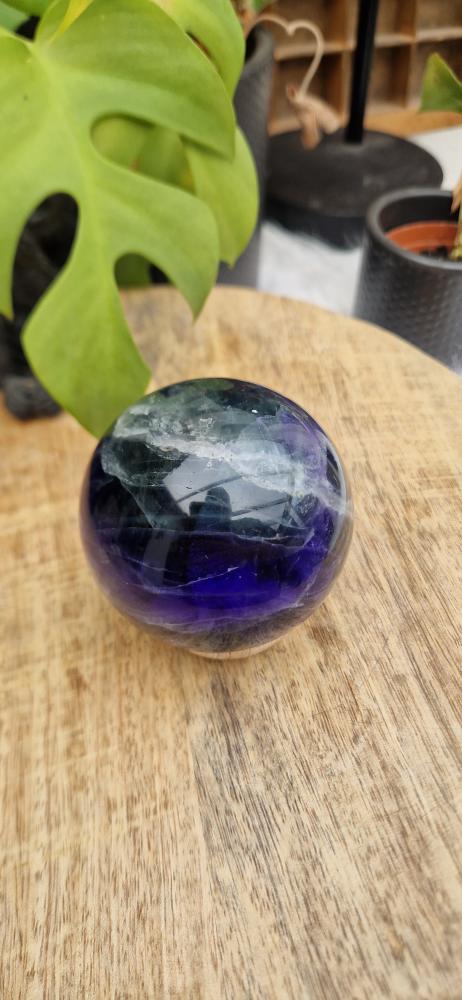 Banner for the Fluoriet category