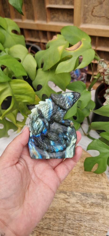 Banner for the Edelsteen vormen category