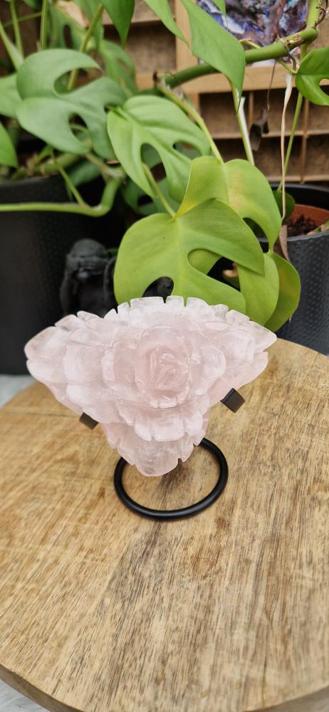 Banner for the Carvings category